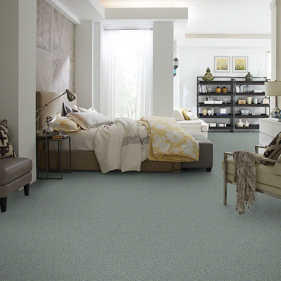 Shaw Floors Value Collections Newbern Classic 15′ Net Haze 00531_E9199