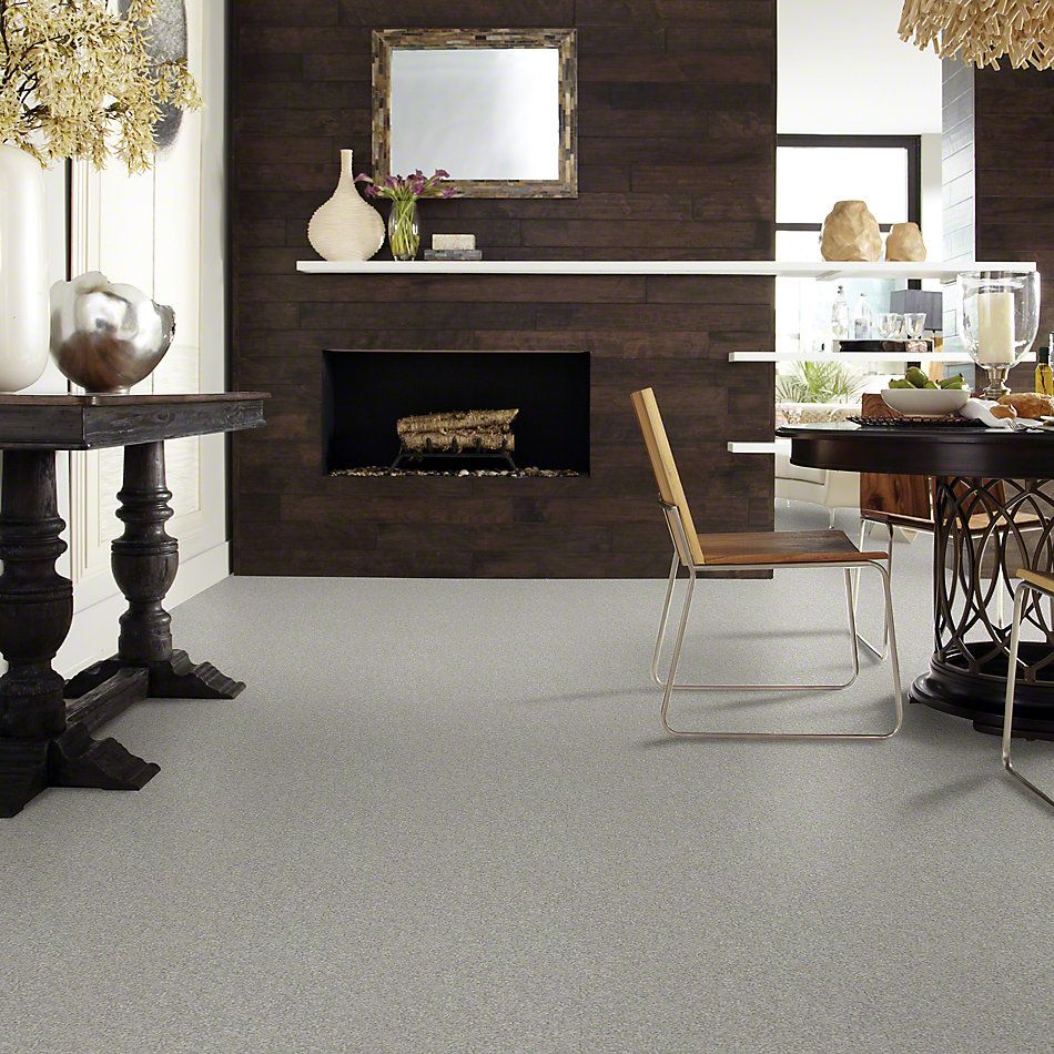Shaw Floors Anso Colorwall Gold Texture Elephant Gray 00534_EA571