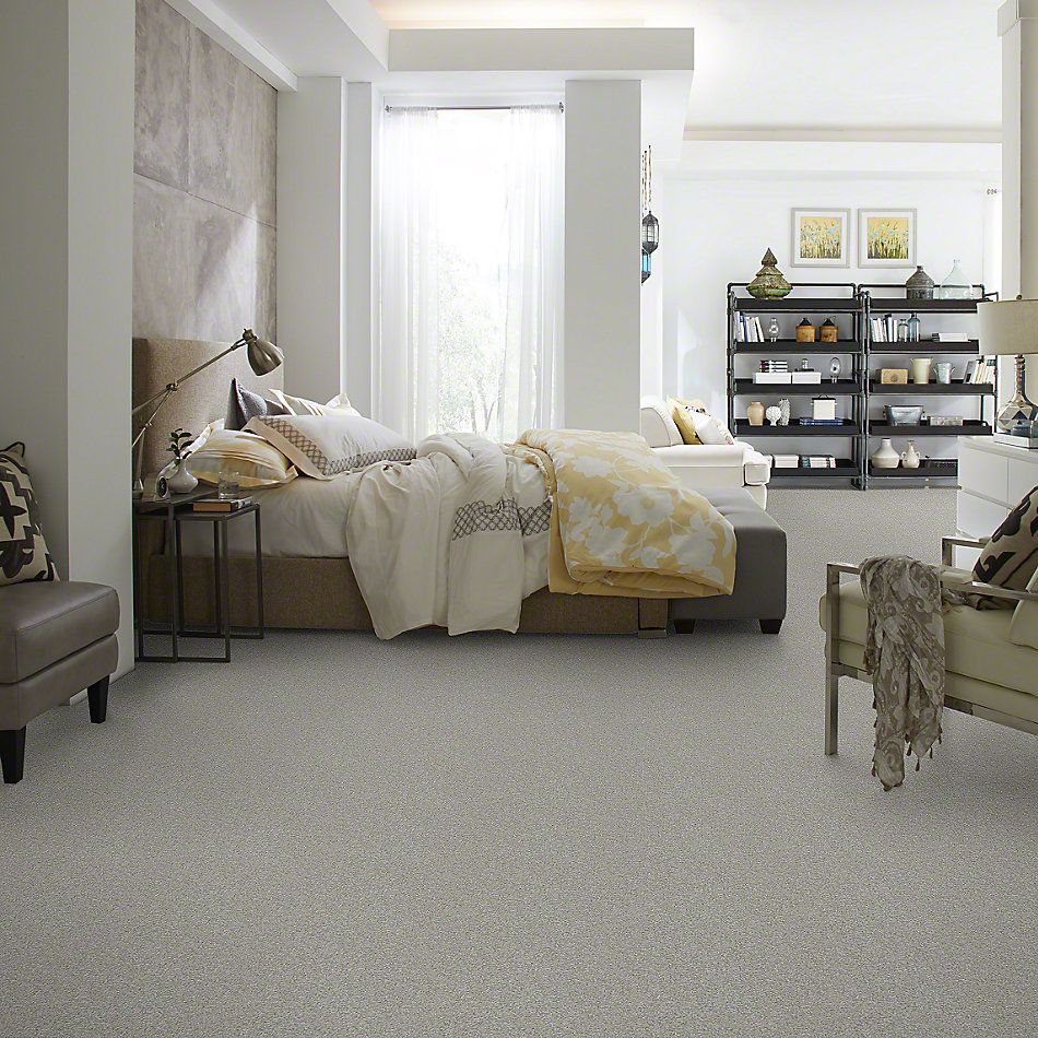Shaw Floors Anso Colorwall Gold Texture Elephant Gray 00534_EA571