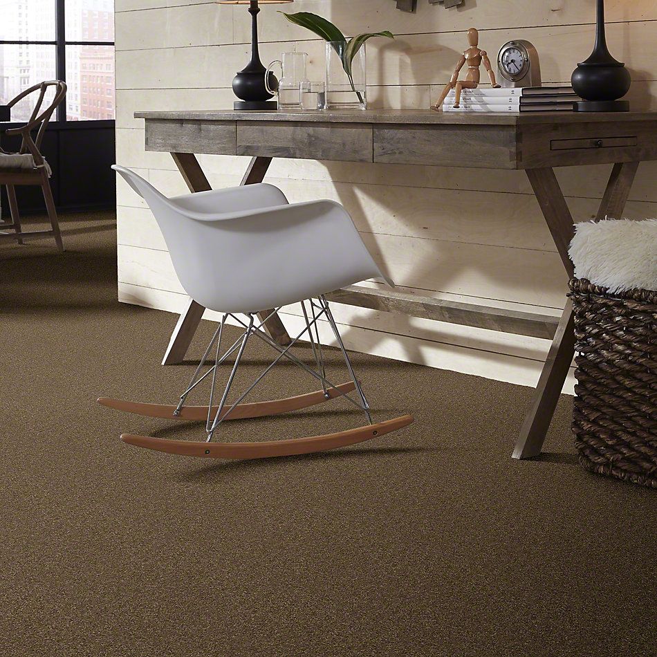 Anderson Tuftex SFA Way Better Phoenix Fossil 852SF_00536