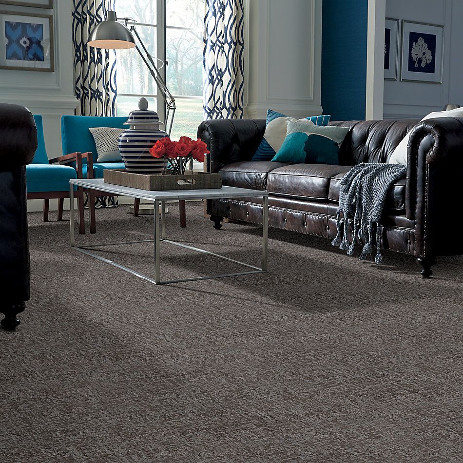 Shaw Floors Caress By Shaw Fine Structure Grounded Gray 00536_CC69B