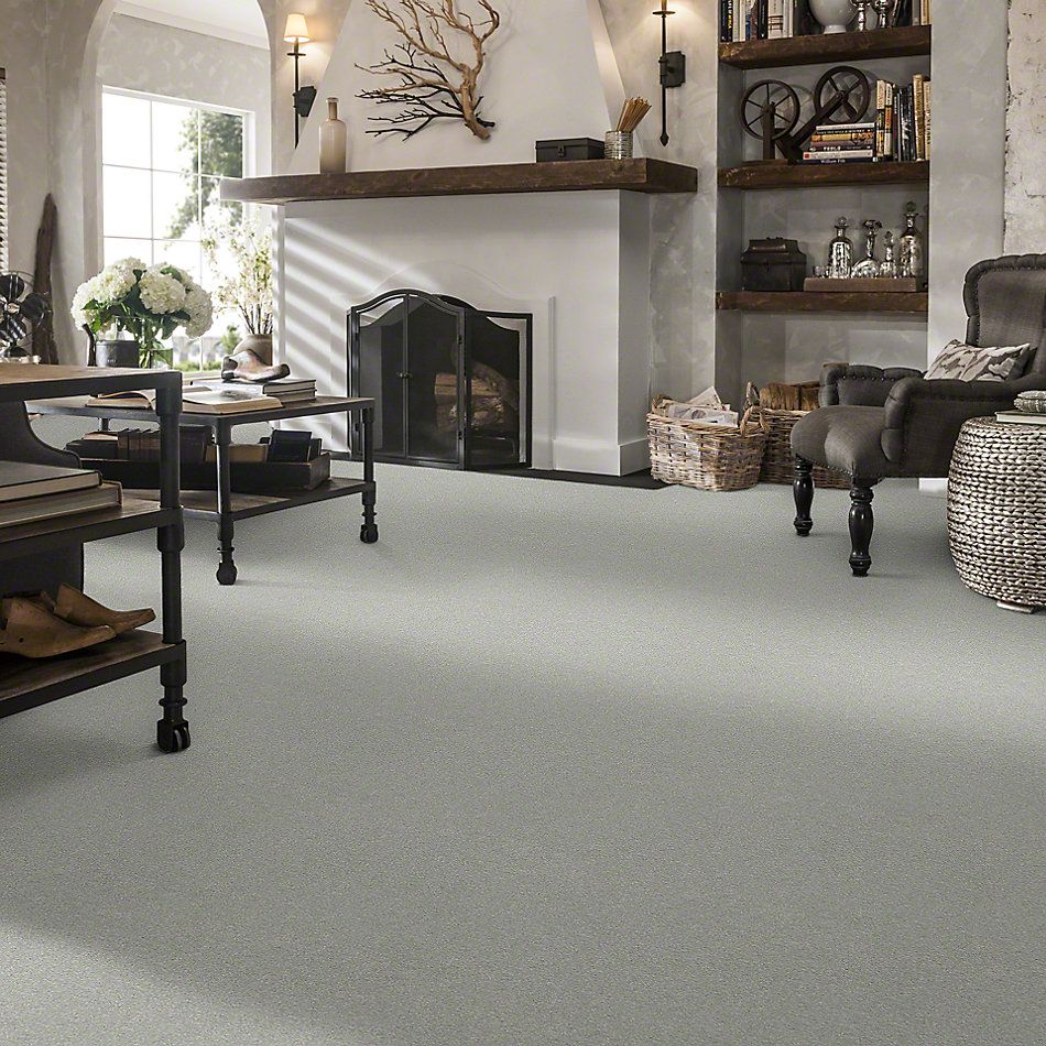 Shaw Floors Take The Floor Texture I Gray Owl 00538_5E005
