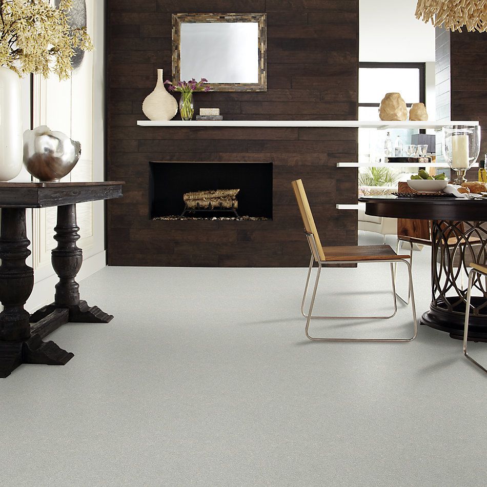 Shaw Floors Foundations Take The Floor Texture I Net Gray Owl 00538_5E066