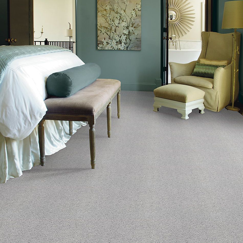 Shaw Floors Value Collections Take The Floor Twist II Net Gray Owl 00538_5E070
