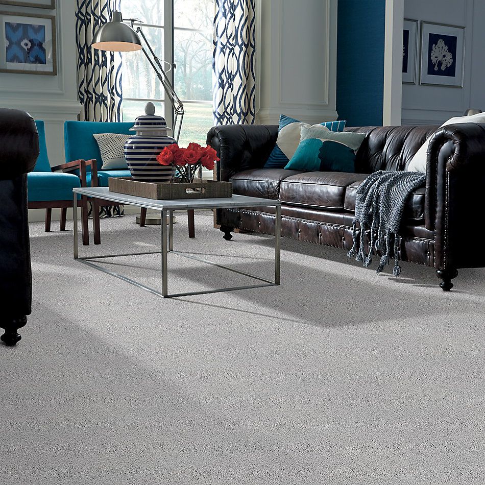 Shaw Floors Value Collections Take The Floor Twist II Net Gray Owl 00538_5E070