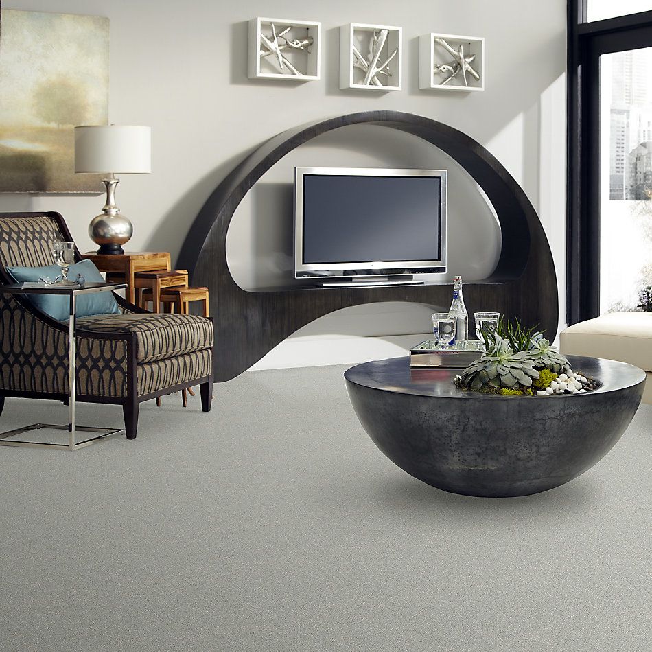 Shaw Floors Nfa/Apg Take the Floor Texture Blue Gray Owl 5.00E+07_00538