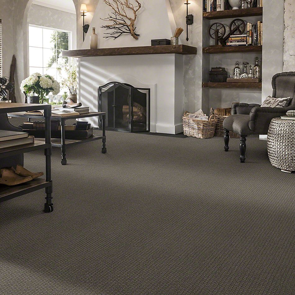 Shaw Floors Simply The Best Pacific Trails Charcoal 00539_E0824