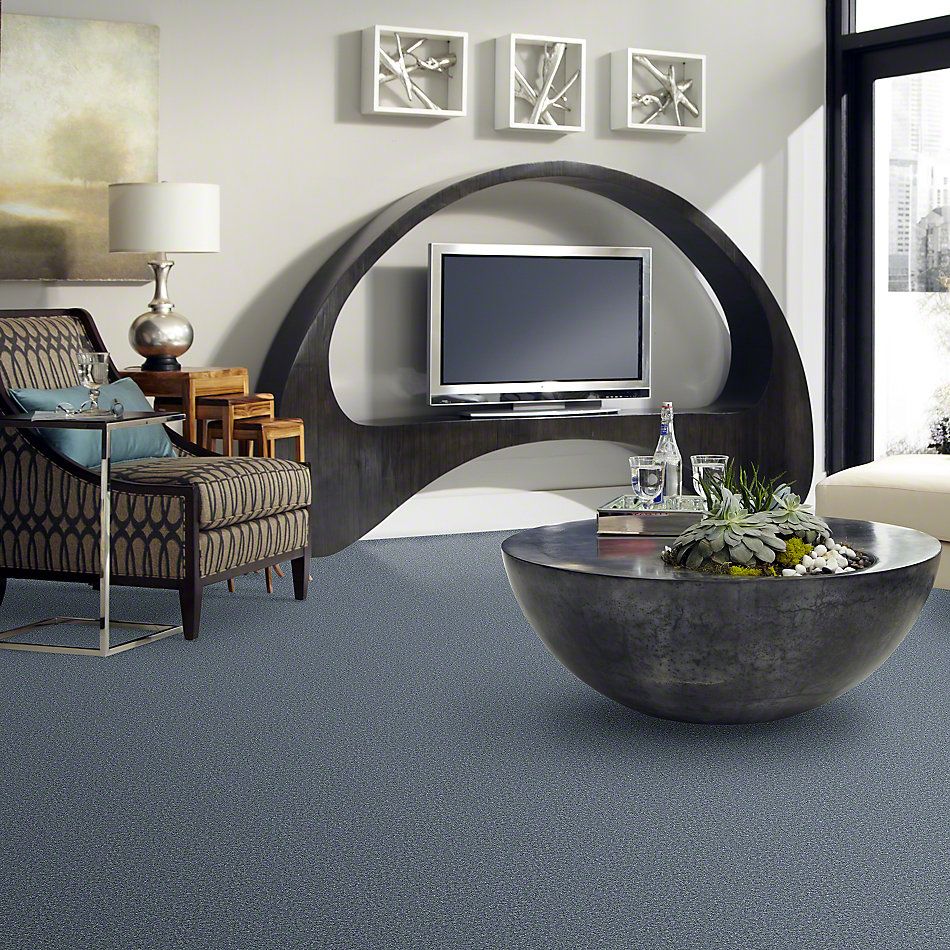 Shaw Floors Full Court 12′ Dolphin 52Y46_00541