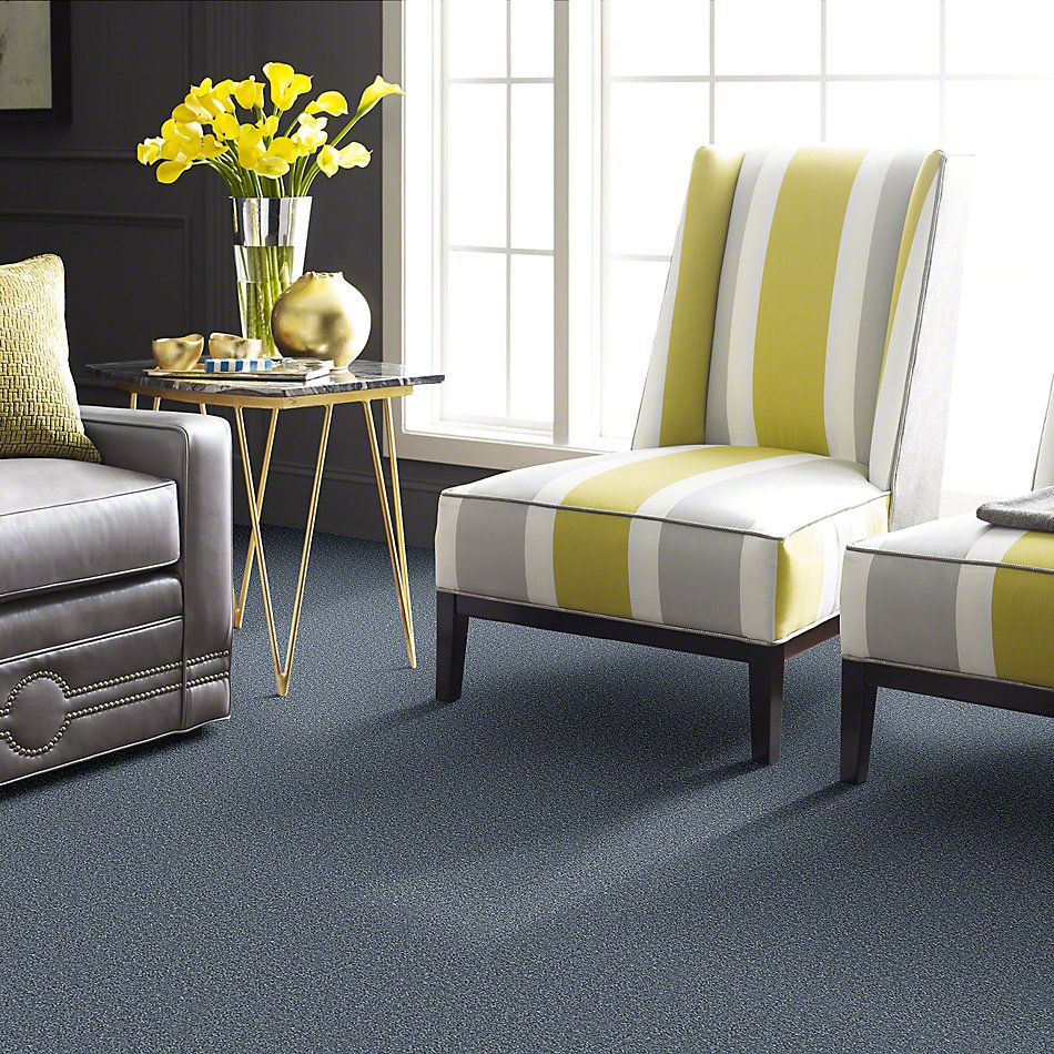 Shaw Floors Full Court 12′ Dolphin 52Y46_00541