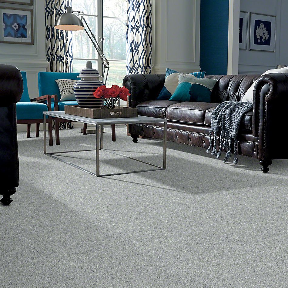 Shaw Floors Value Collections Platinum Texture 12′ Net Fossil 00541_E9326