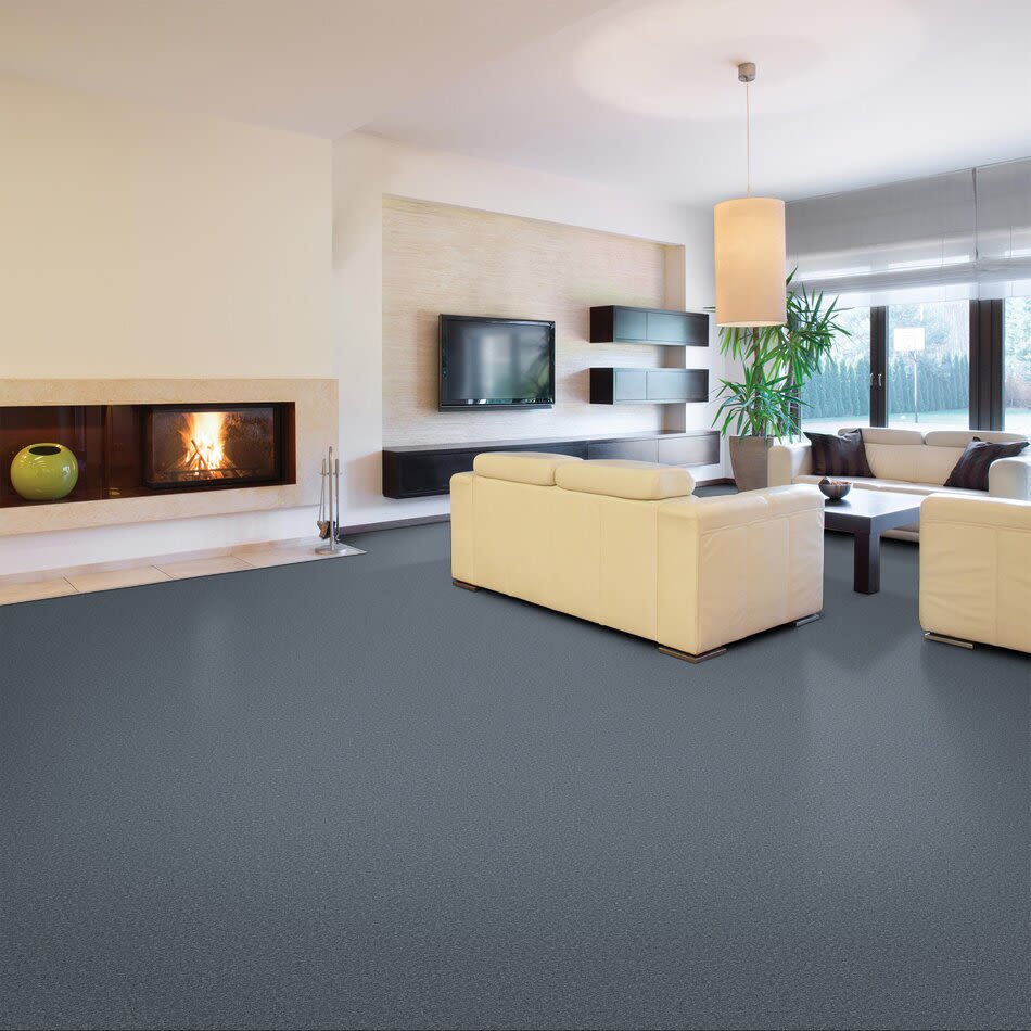 Shaw Floors SFA Drexel Hill II 15′ Dolphin 00541_EA052