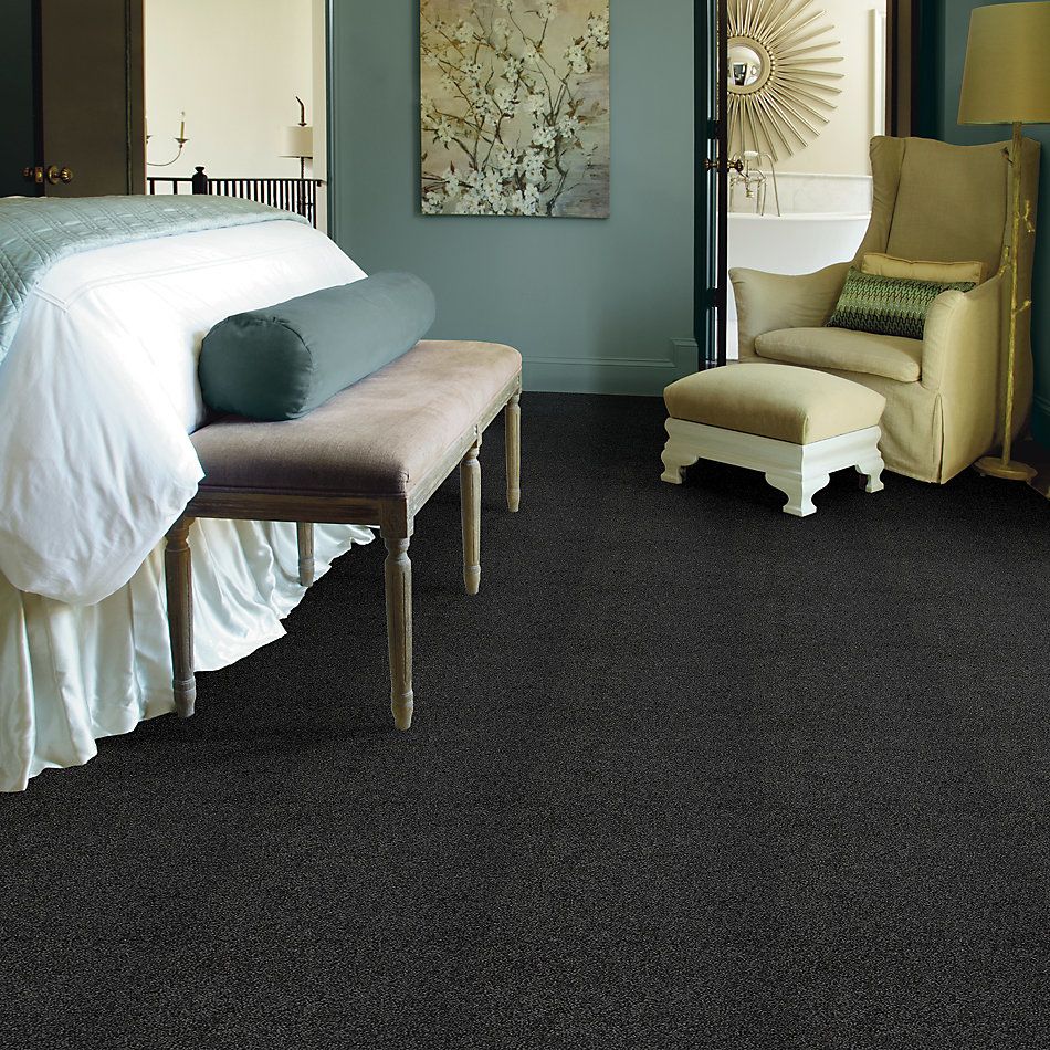 Shaw Floors Nfa/Apg Take the Floor Twist Blue Urban Studio 5.00E+16_00542