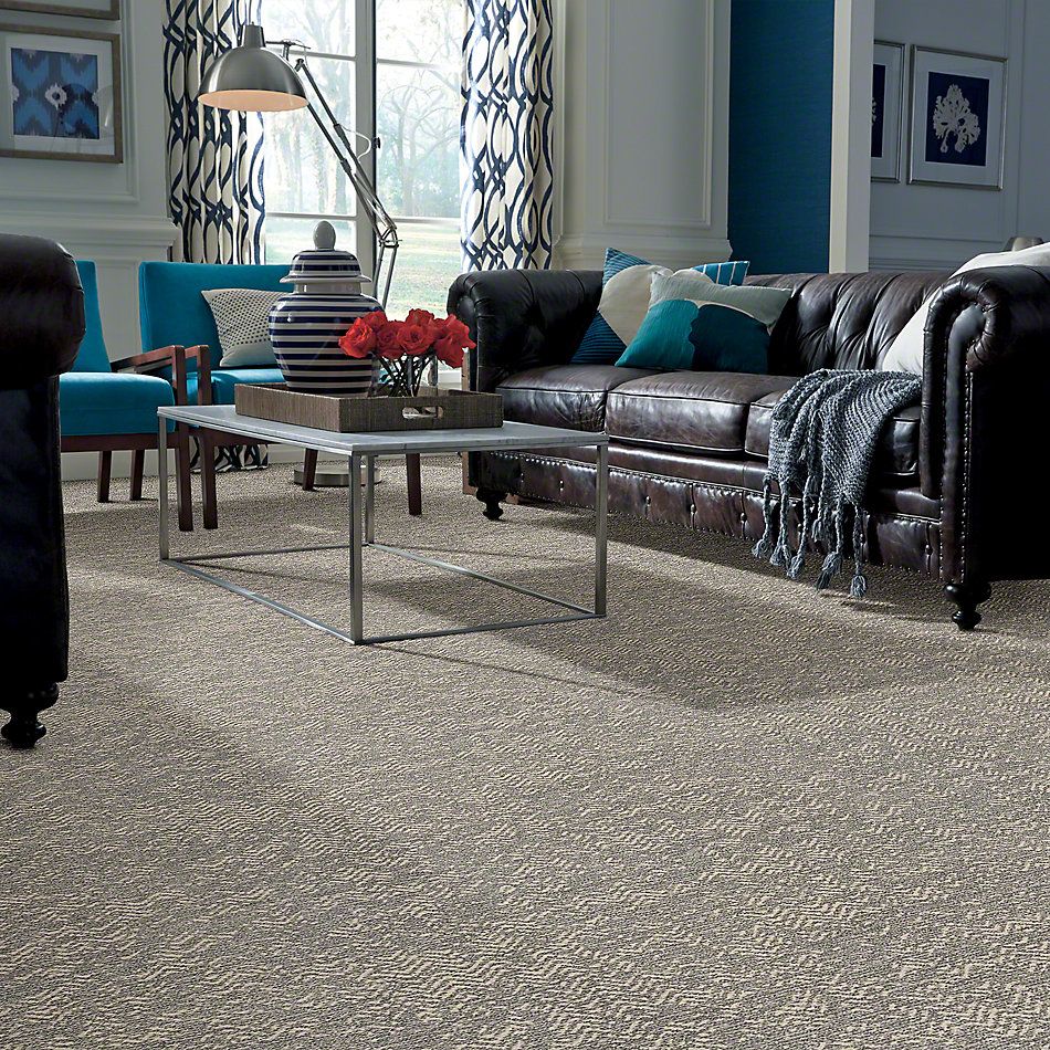 Shop Anderson Tuftex Tanzania Shalestone 00542 Zz067 Carpet Barrett Floors