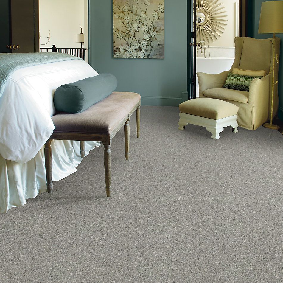 Shaw Floors Nfa/Apg Take the Floor Texture II Flint 5.00E+06_00544