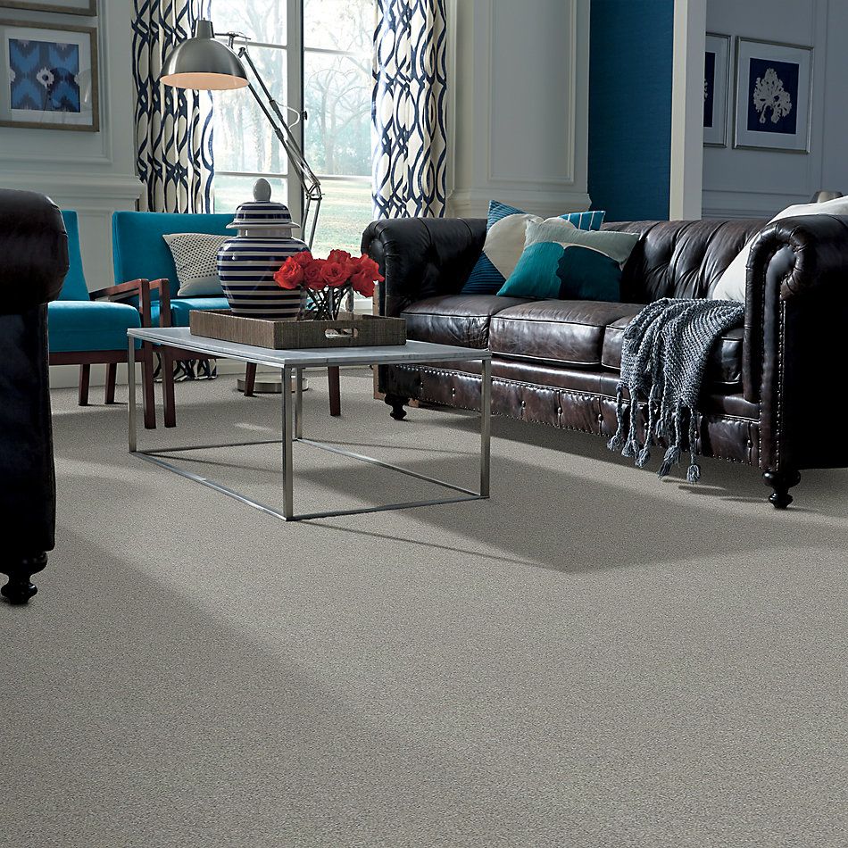 Shaw Floors Nfa/Apg Take the Floor Texture II Flint 5.00E+06_00544