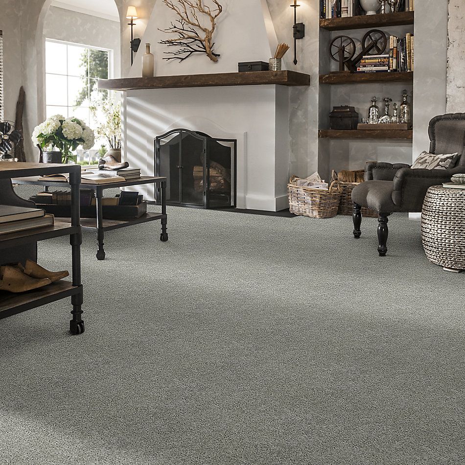 Shaw Floors Nfa/Apg Take the Floor Twist II Flint 5.00E+15_00544