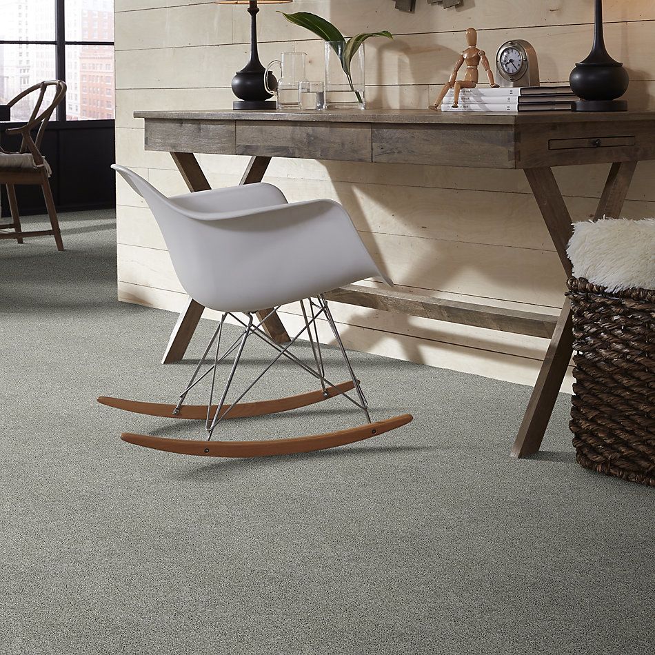 Shaw Floors Nfa/Apg Take the Floor Twist II Flint 5.00E+15_00544