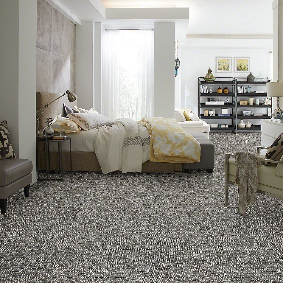 Shop Anderson Tuftex Tanzania Chelsea Fog 00544 Zz067 Carpet Vic S Carpet Flooring