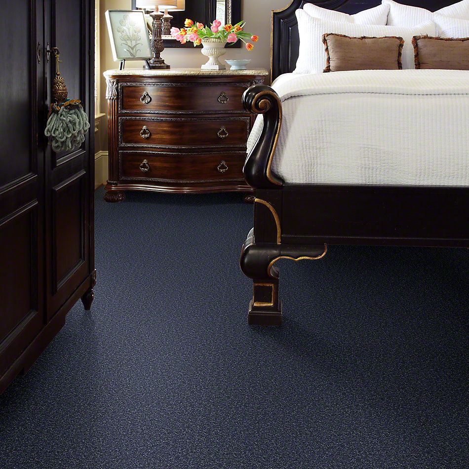 Shaw Floors Queen Point Guard 12′ Charcoal 00545_Q4855