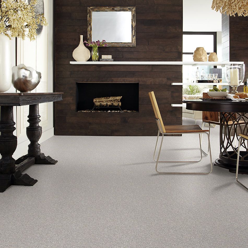 Shaw Floors Foundations Take The Floor Texture II Net Anchor 00546_5E067