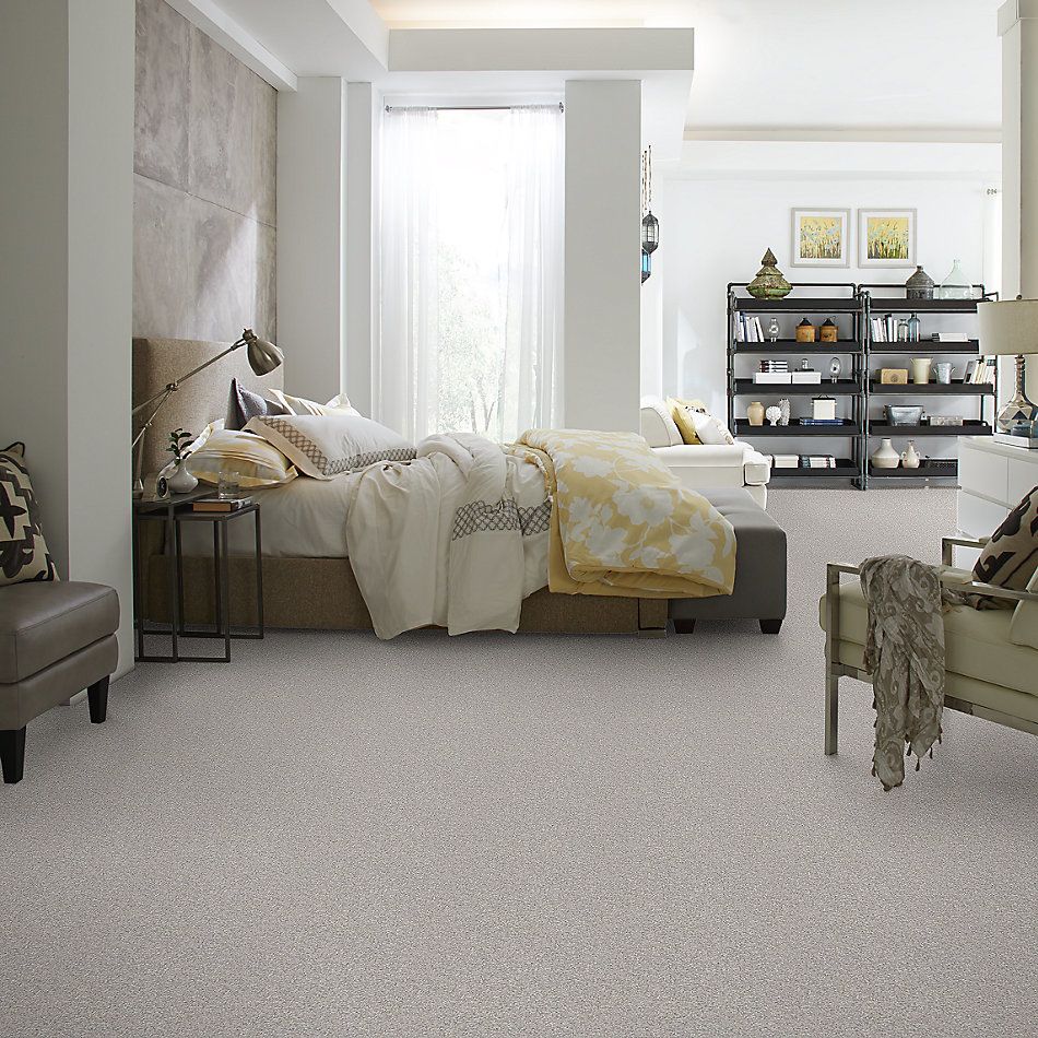 Shaw Floors Nfa/Apg Take the Floor Texture II Anchor 5.00E+06_00546