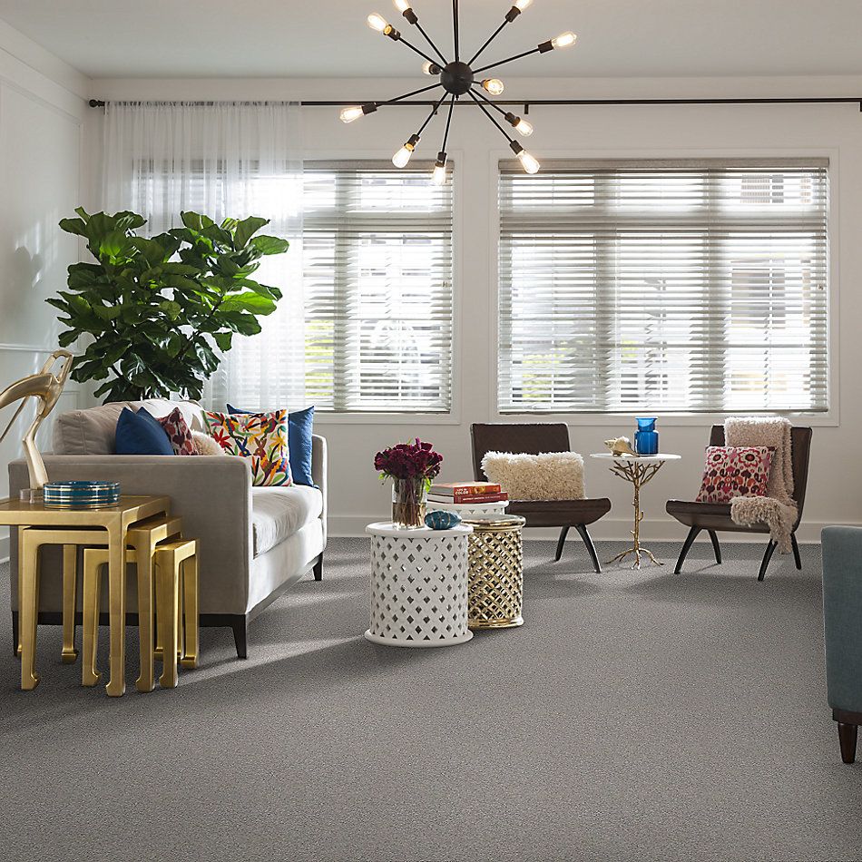 Shaw Floors Nfa/Apg Take the Floor Texture II Anchor 5.00E+06_00546