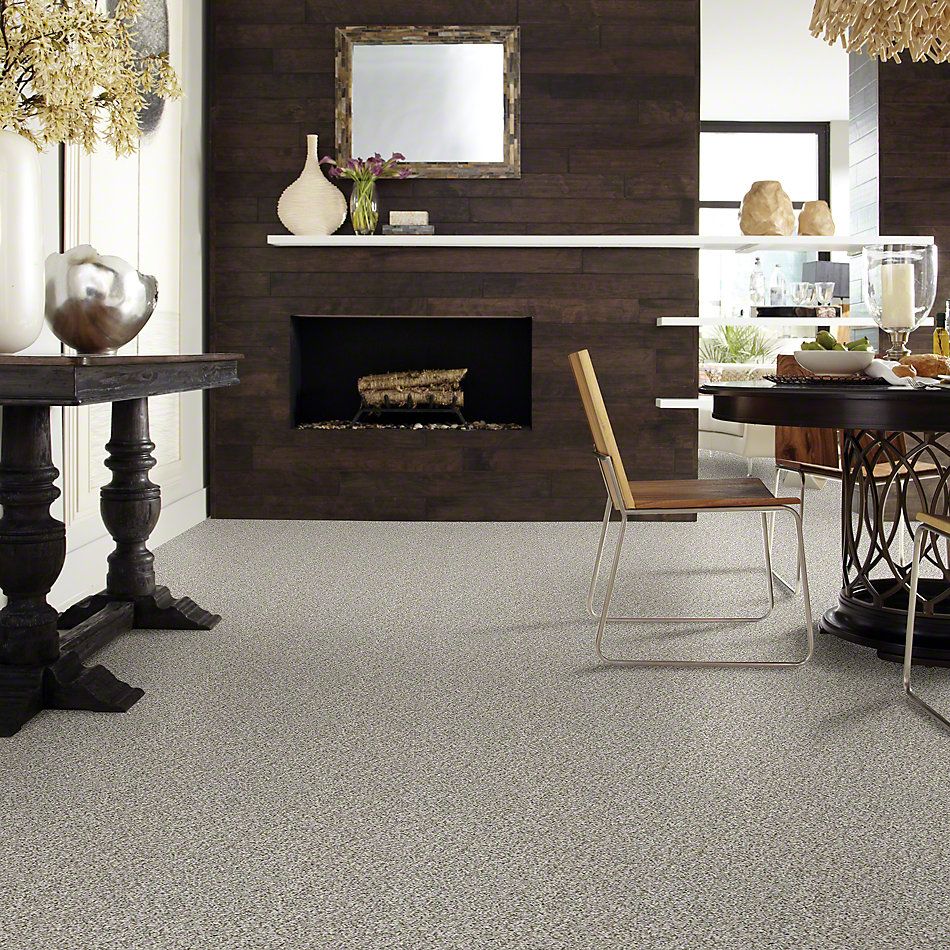 Shaw Floors Simply The Best Cabana Life (b) Net Stone 00550_5E004