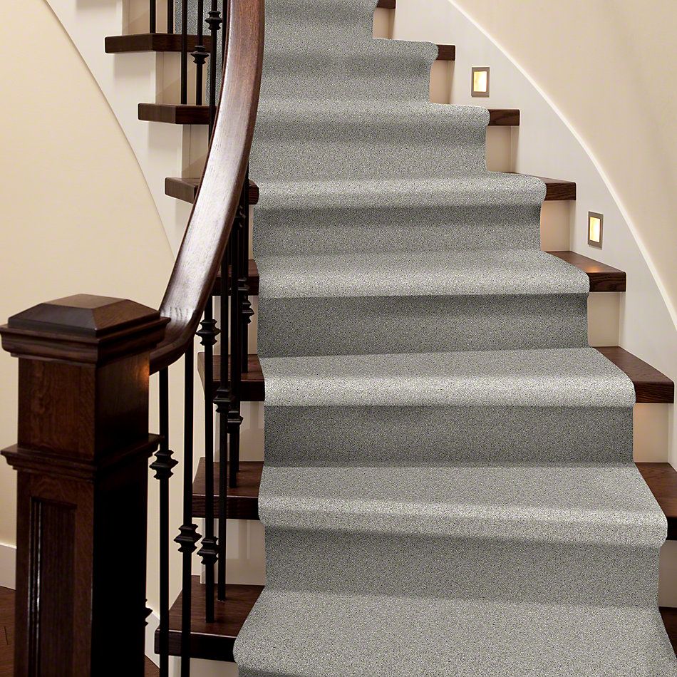 Shaw Floors My Choice II Ash 00550_E0651