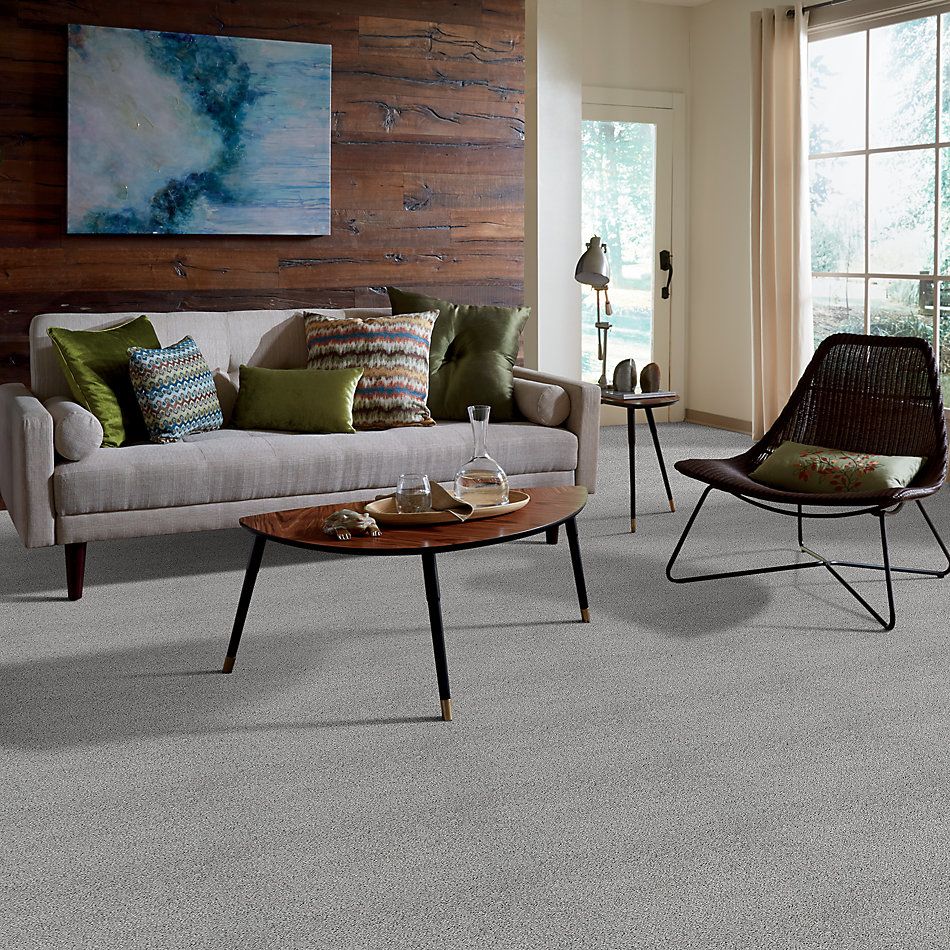 Shaw Floors Nfa/Apg Take the Floor Twist II Pewter 5.00E+15_00551