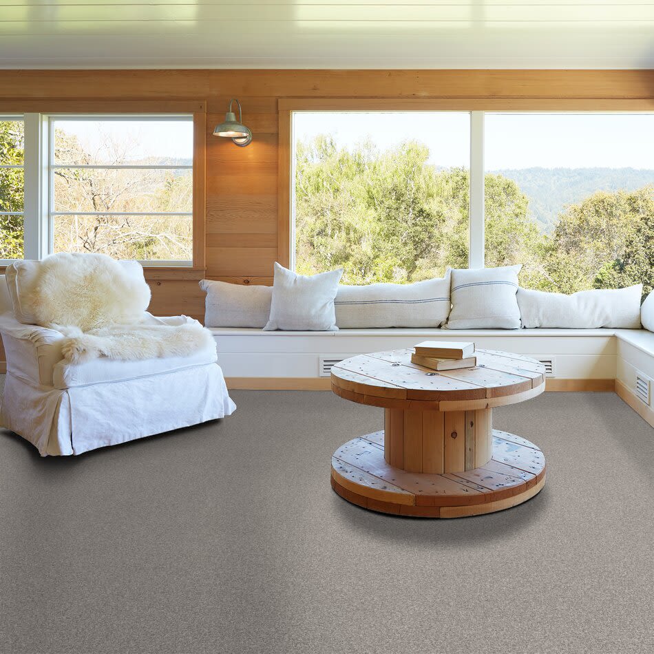 Anderson Tuftex Terra Nova Platinum 00552_ZZ252