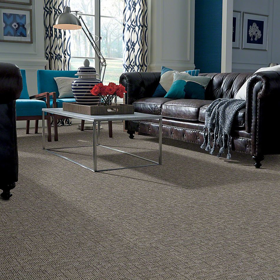 Anderson Tuftex Arietta Heringer Platinum 832AG_00555