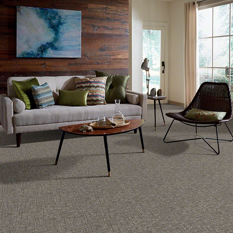 Anderson Tuftex Arietta Heringer Platinum 832AG_00555