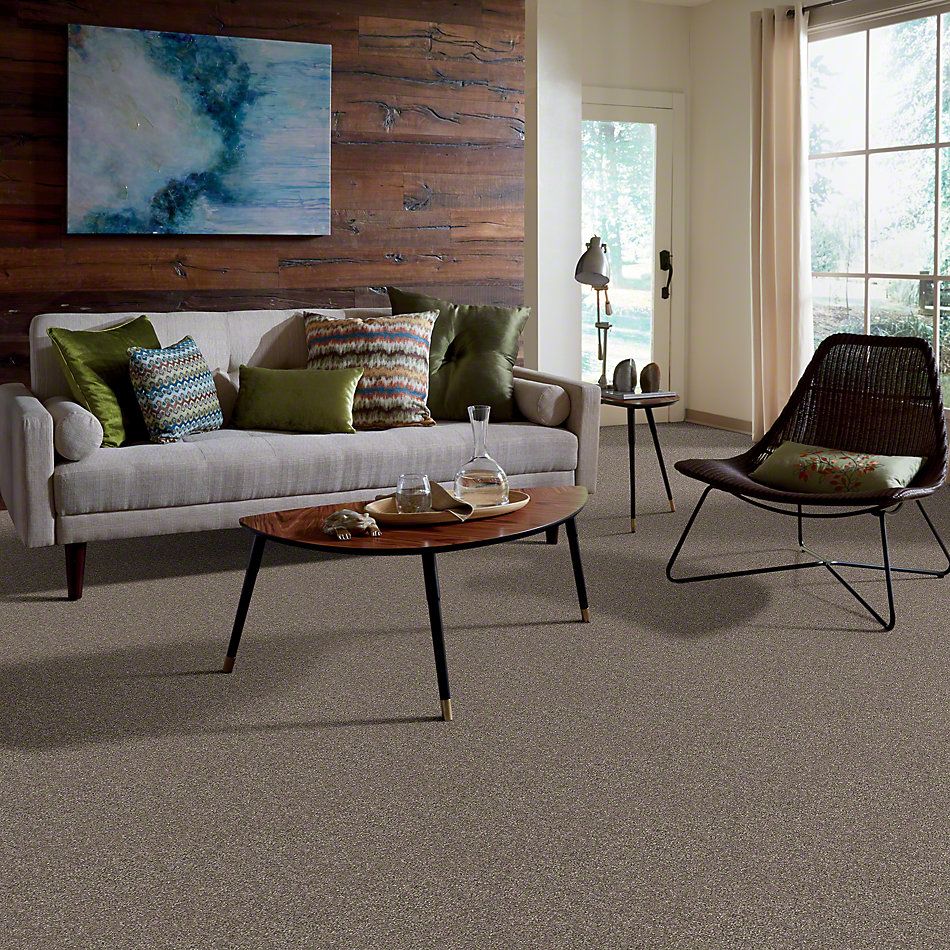 Anderson Tuftex Classics Interlude Wild Mushroom 852AG_00555
