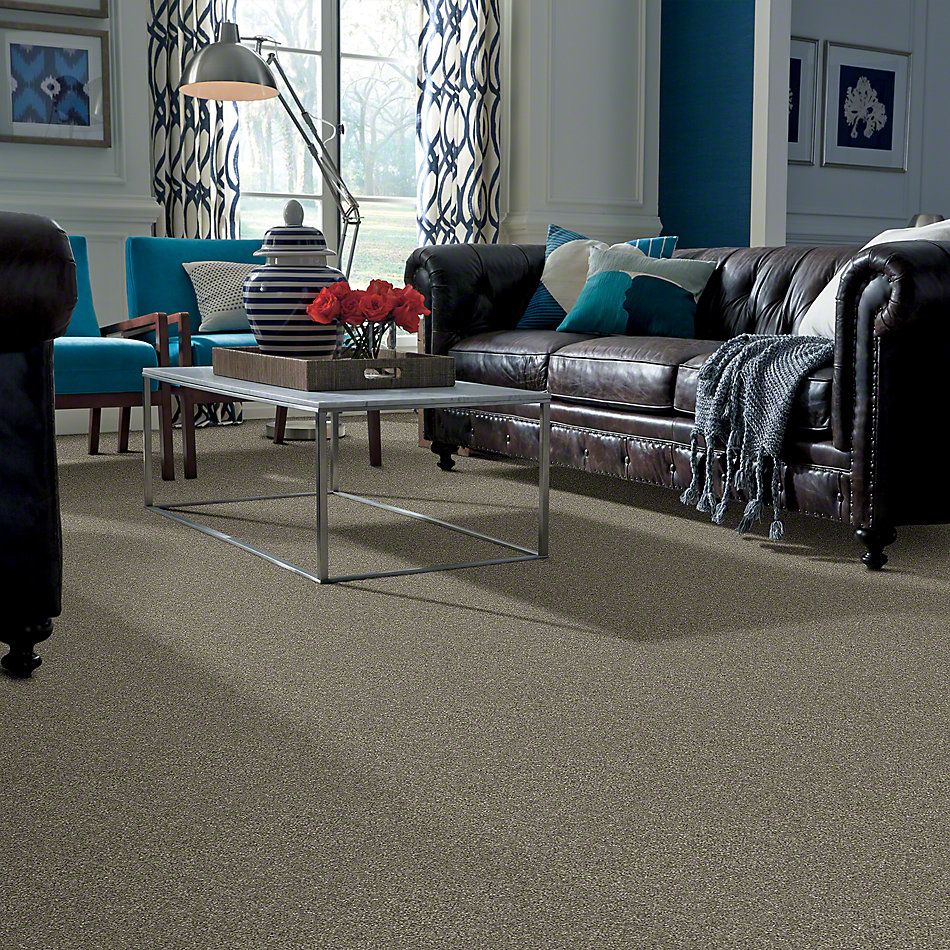 Anderson Tuftex Classics Interlude Steel Wool X 852AG_00556