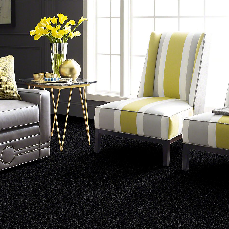 Anderson Tuftex Uptown Girl Fun, Fun Licorice 169AG_00559