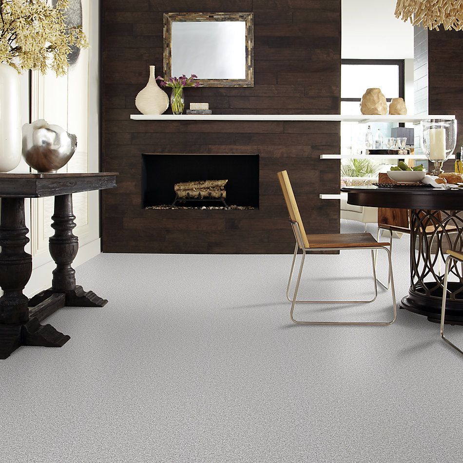 Shaw Floors Value Collections Take The Floor Tonal I Net Mystic 00560_5E072