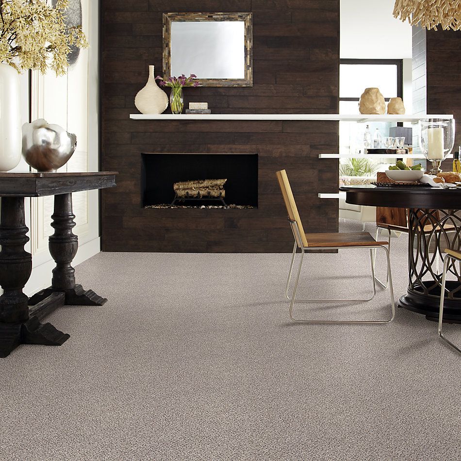 Shaw Floors Nfa/Apg Take the Floor Accent II Cold Springs 5.00E+12_00570