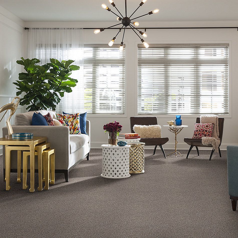 Shaw Floors Nfa/Apg Take the Floor Accent II Cold Springs 5.00E+12_00570