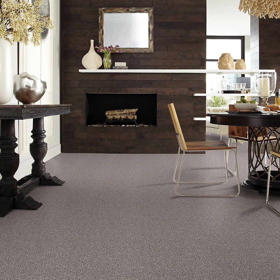 Shaw Floors Nfa/Apg Take the Floor Accent I Soapstone 5.00E+11_00571