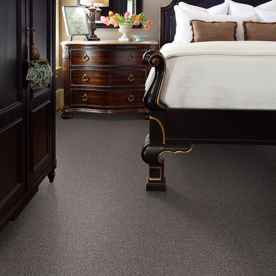 Shaw Floors Nfa/Apg Take the Floor Accent II Soapstone 5.00E+12_00571