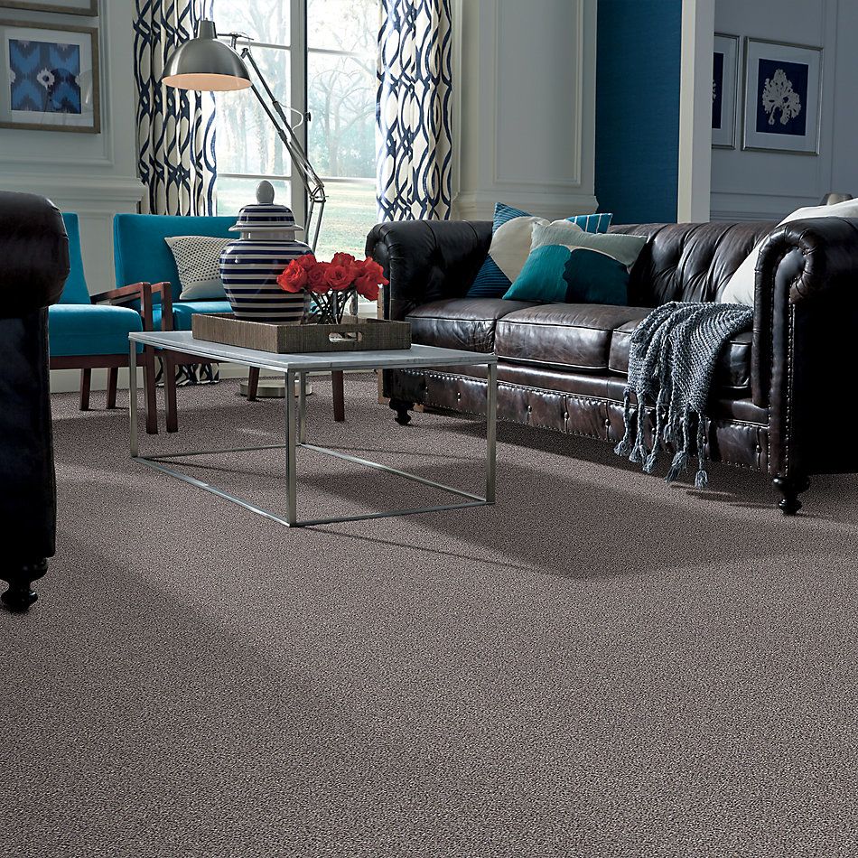 Shaw Floors Nfa/Apg Take the Floor Accent Blue Soapstone 5.00E+13_00571
