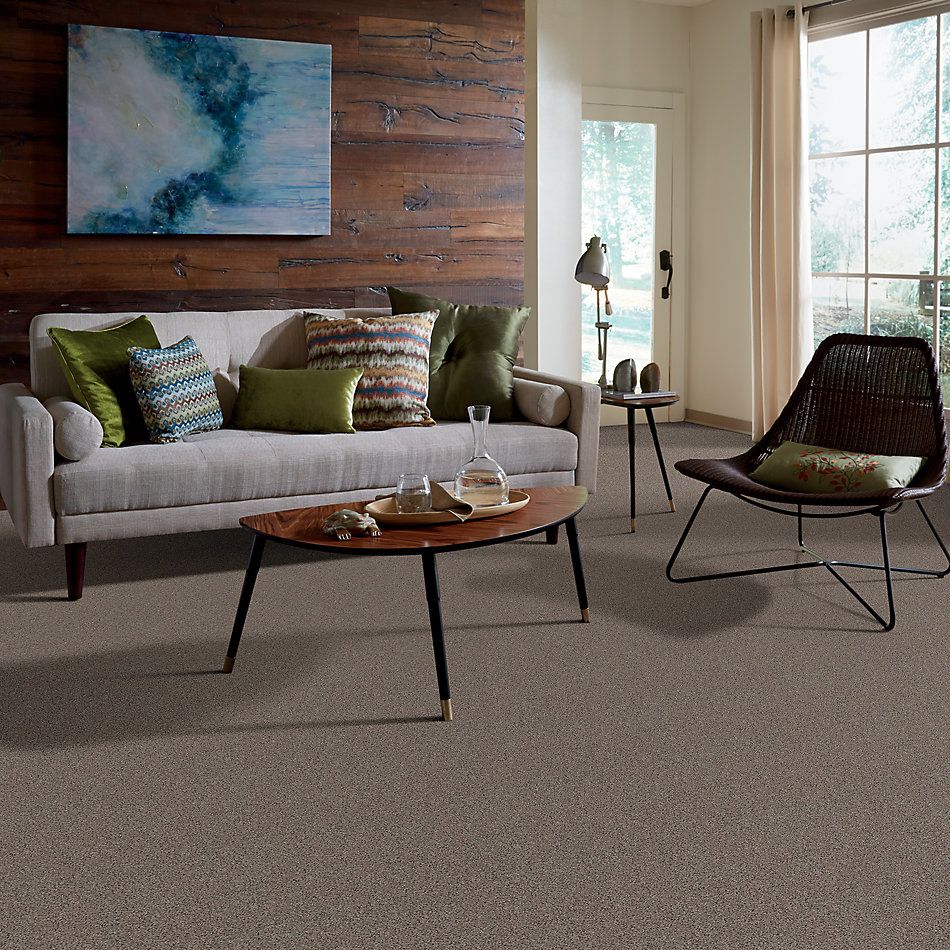 Anderson Tuftex Toll Brothers HS/Tuftex Artistic Simply Taupe 00572_001TB