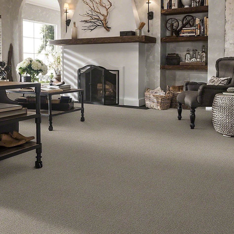 Shaw Floors Foundations Sensible Now Silhouette 00573_E9720