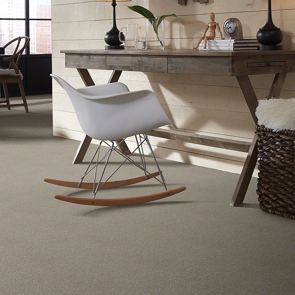 Shaw Floors Foundations Sensible Now Silhouette 00573_E9720