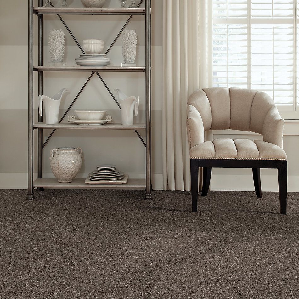 Anderson Tuftex American Home Fashions Real Life I Koala 00574_ZZA03