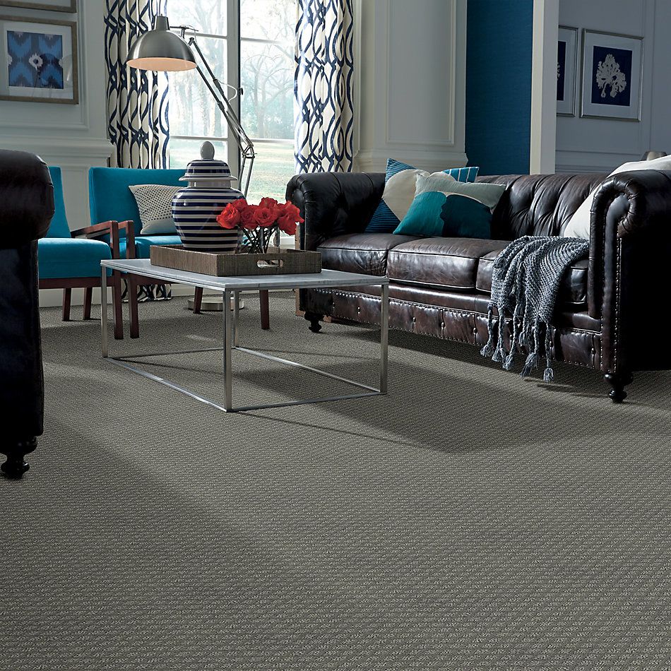 Shaw Floors Value Collections Entwined With You Net Metal 00577_E9809