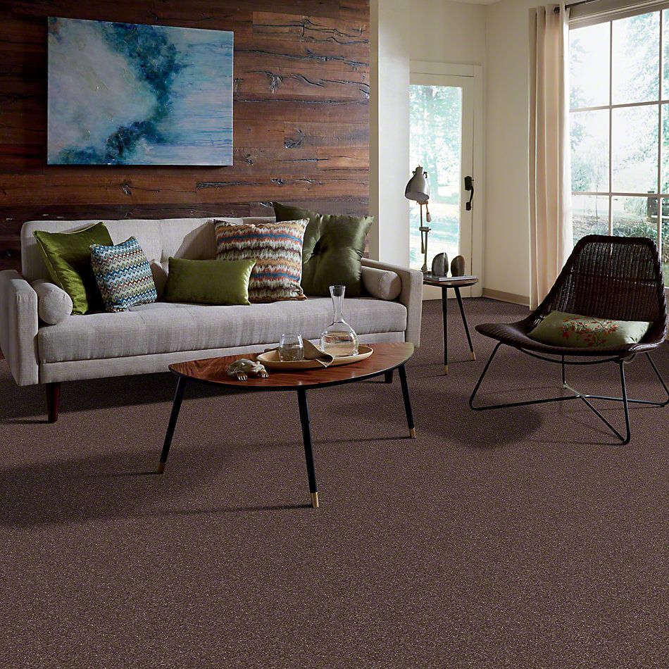 Anderson Tuftex Fantasy Exquisite Smoky Quartz 853AG_00578