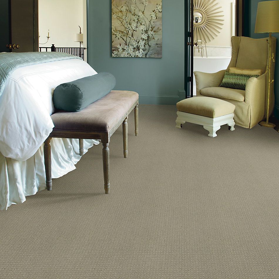 Shaw Floors Value Collections Perpetual Move Net Lady In Gray 00590_E9776