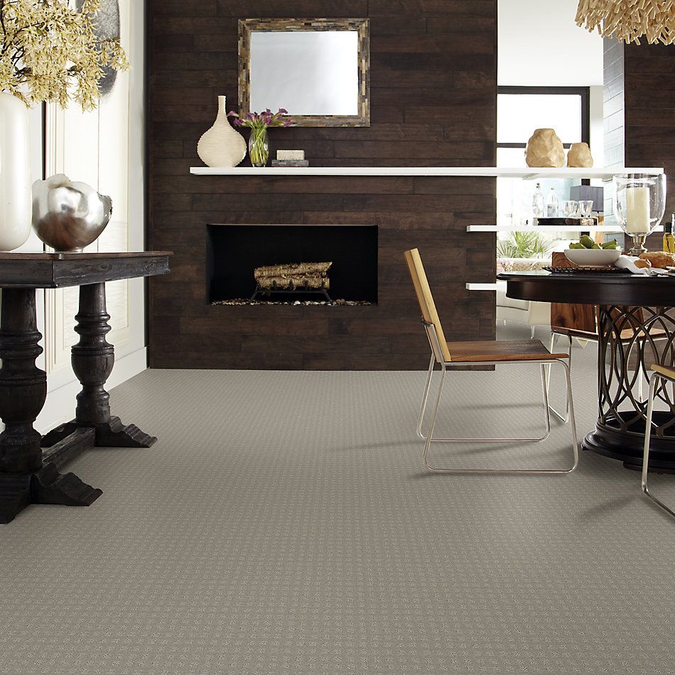 Shaw Floors Foundations Alluring Disposition Net Lady In Gray 00590_E9777