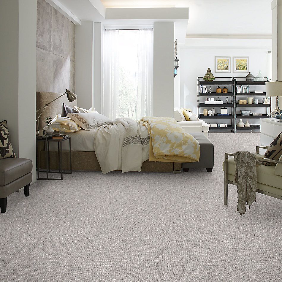 Shaw Floors Value Collections Smart Thinking Net Lady In Gray 00590_E9778